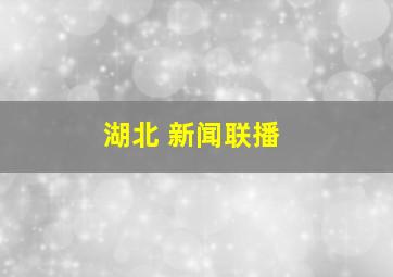 湖北 新闻联播